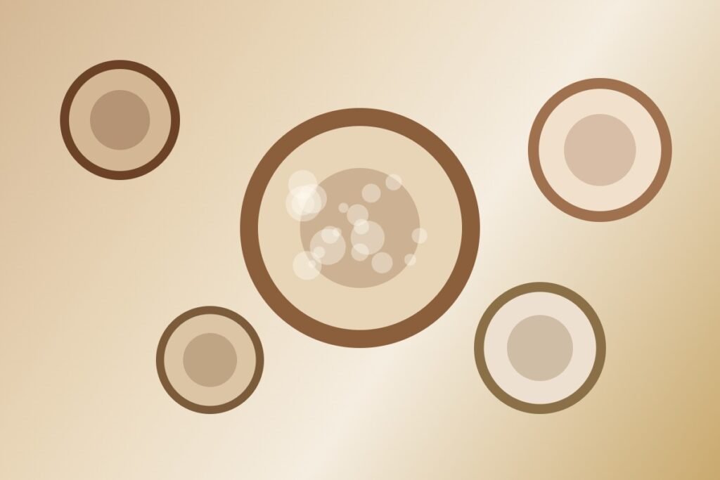 Koffie met plantaardige melk - diverse melkalternatieven voor in je koffie